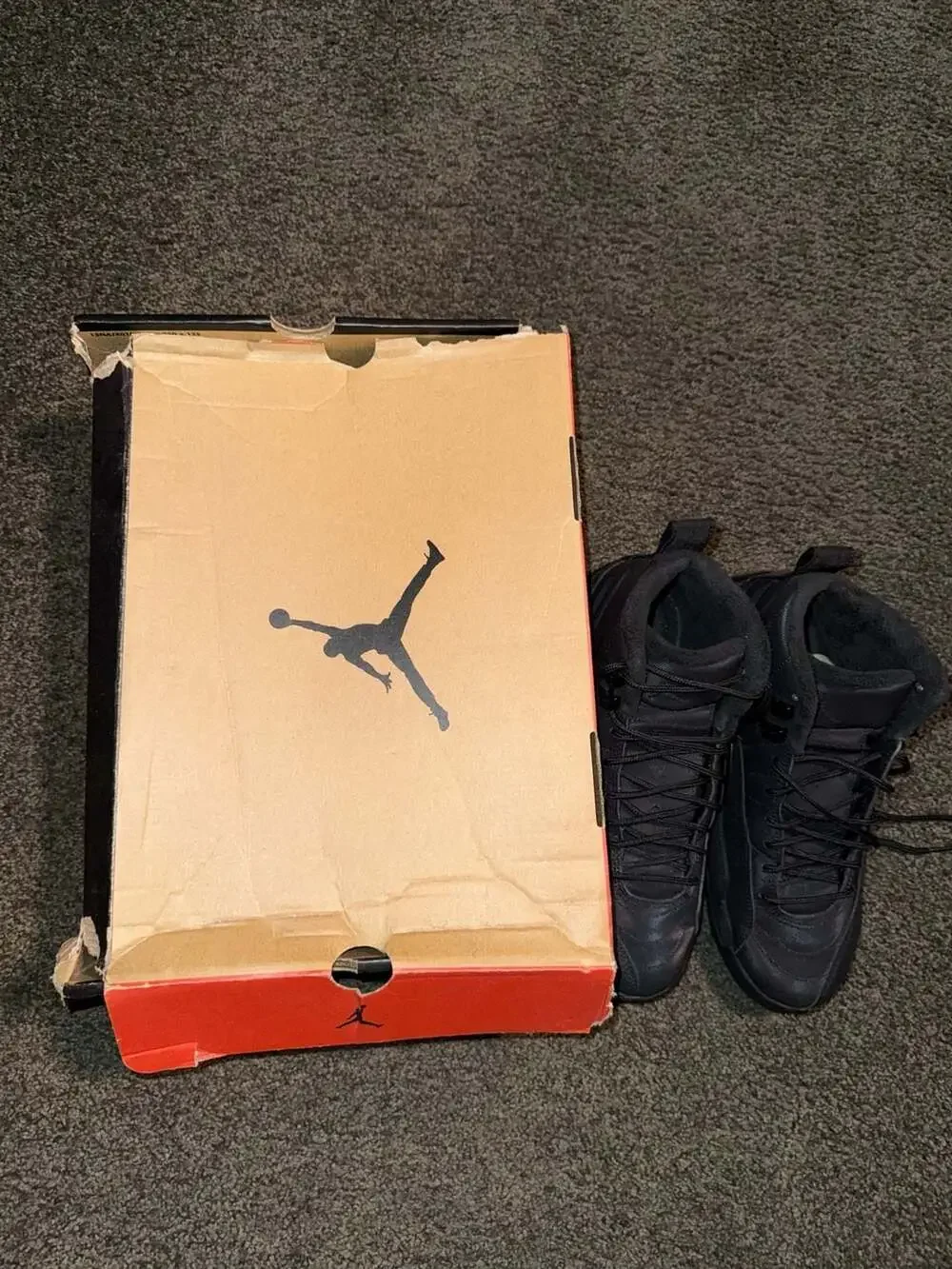 Jordan 12 retro